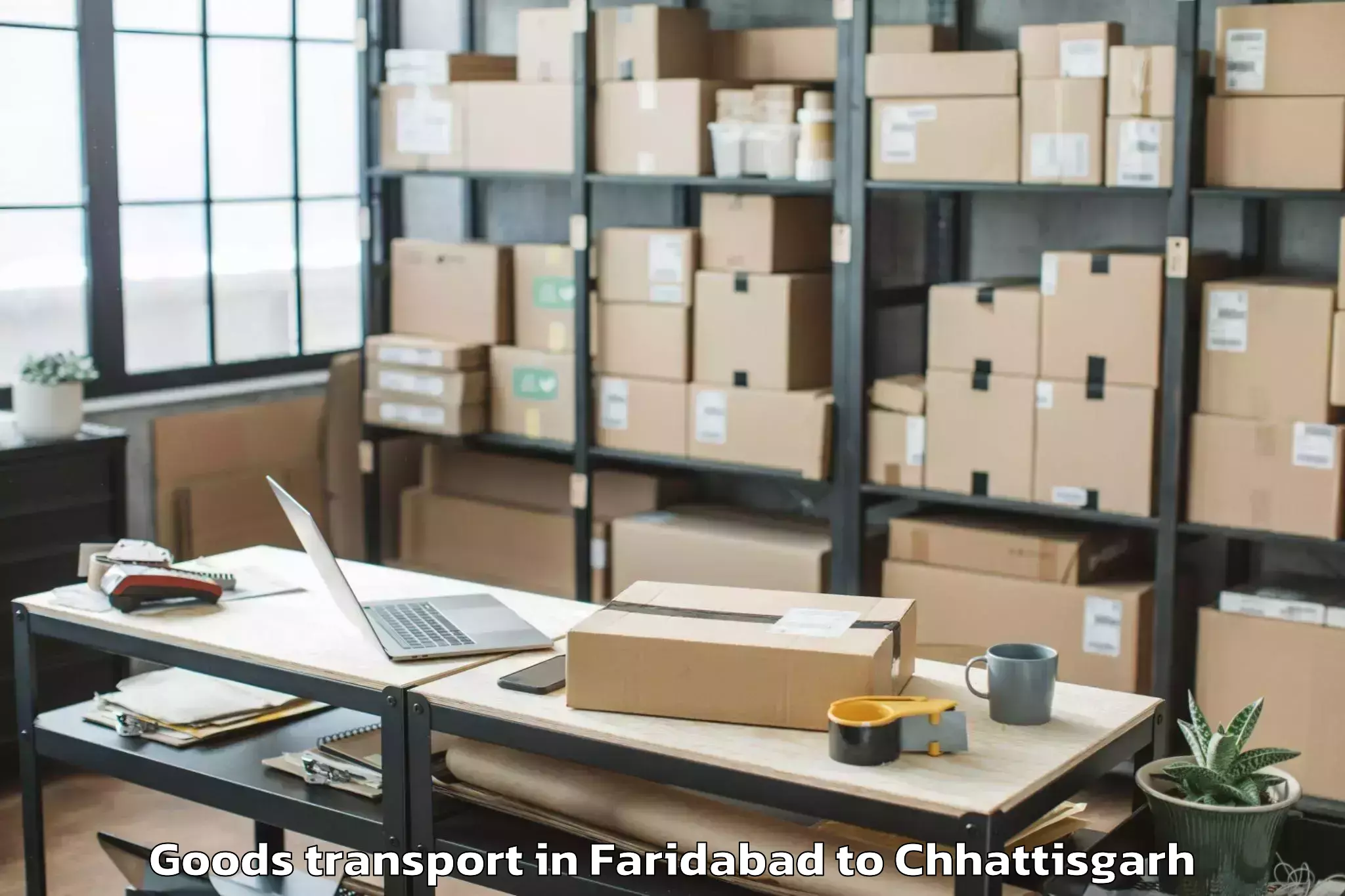 Professional Faridabad to Kawardha Goods Transport